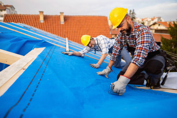 Best Metal Roofing Contractor  in Winthrop, IA