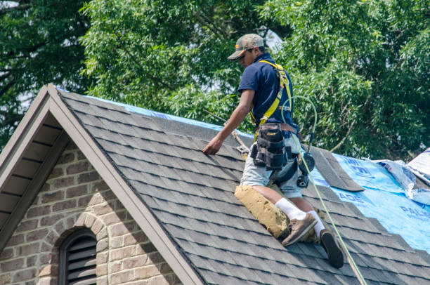 Best Residential Roofing Contractor  in Winthrop, IA
